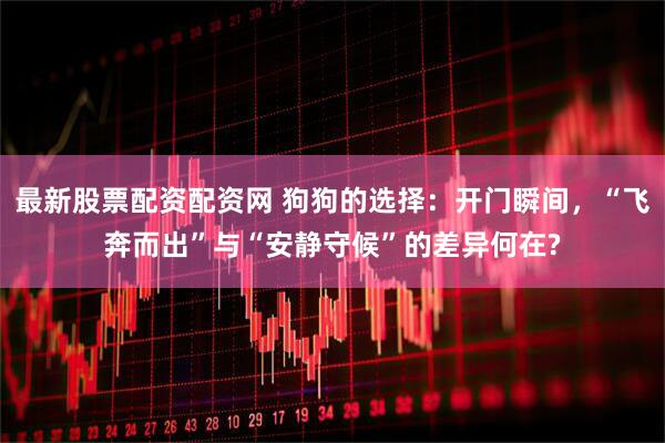 最新股票配资配资网 狗狗的选择：开门瞬间，“飞奔而出”与“安静守候”的差异何在?